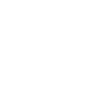 Logo WonderVDA